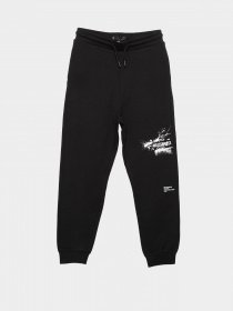 Спортивні штани Reporter Young Artist модель 221-0117B-15-100-1 Спортивні штани Reporter Young Artist модель 221-0117B-15-100-1 Фото