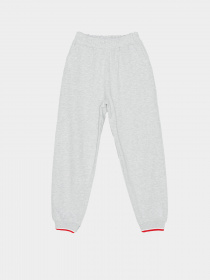 Джоггеры Reporter Young модель 223-0117G-32-130-1 Фото