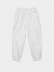 Штаны спортивные Reporter Young модель 221-0117G-04-120-1 Фото