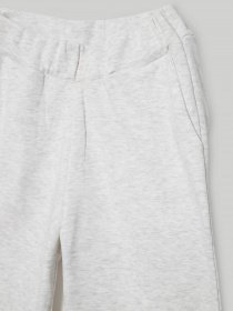 Штаны спортивные Reporter Young модель 221-0117G-04-120-1 Фото