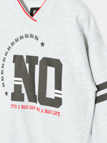 Свитшот Reporter Young модель 223-0550G-23-130-1 Фото