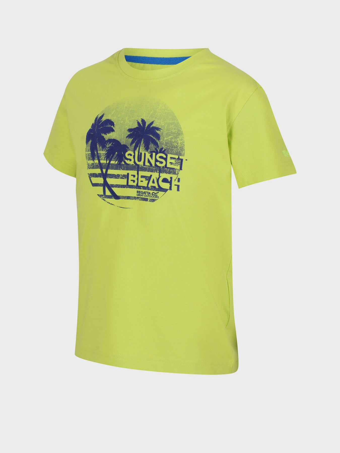 Футболки и поло Regatta Bosley модель RKT131-LKD Фото