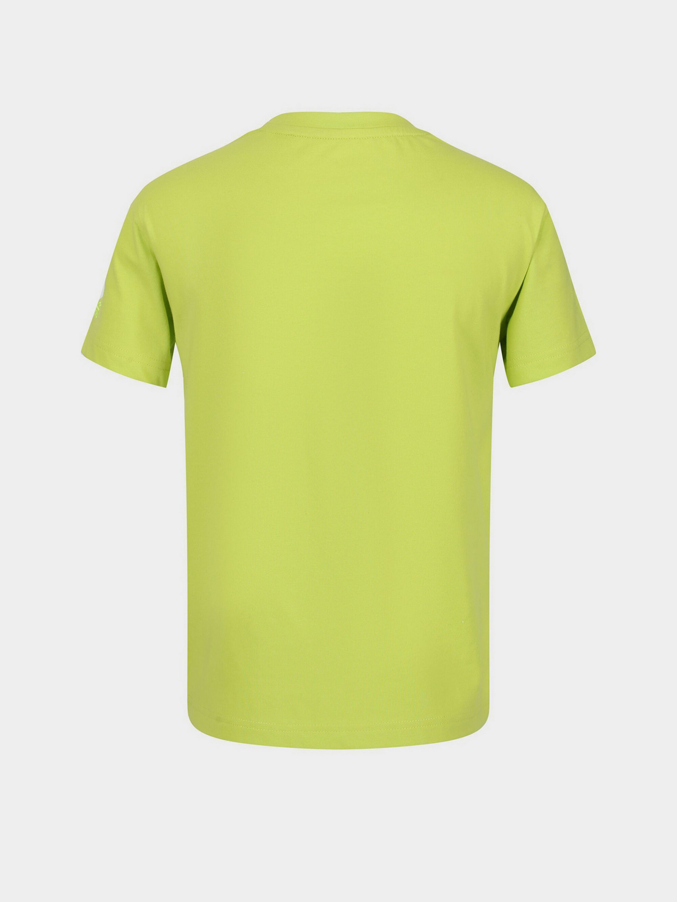 Футболки и поло Regatta Bosley модель RKT131-LKD Фото