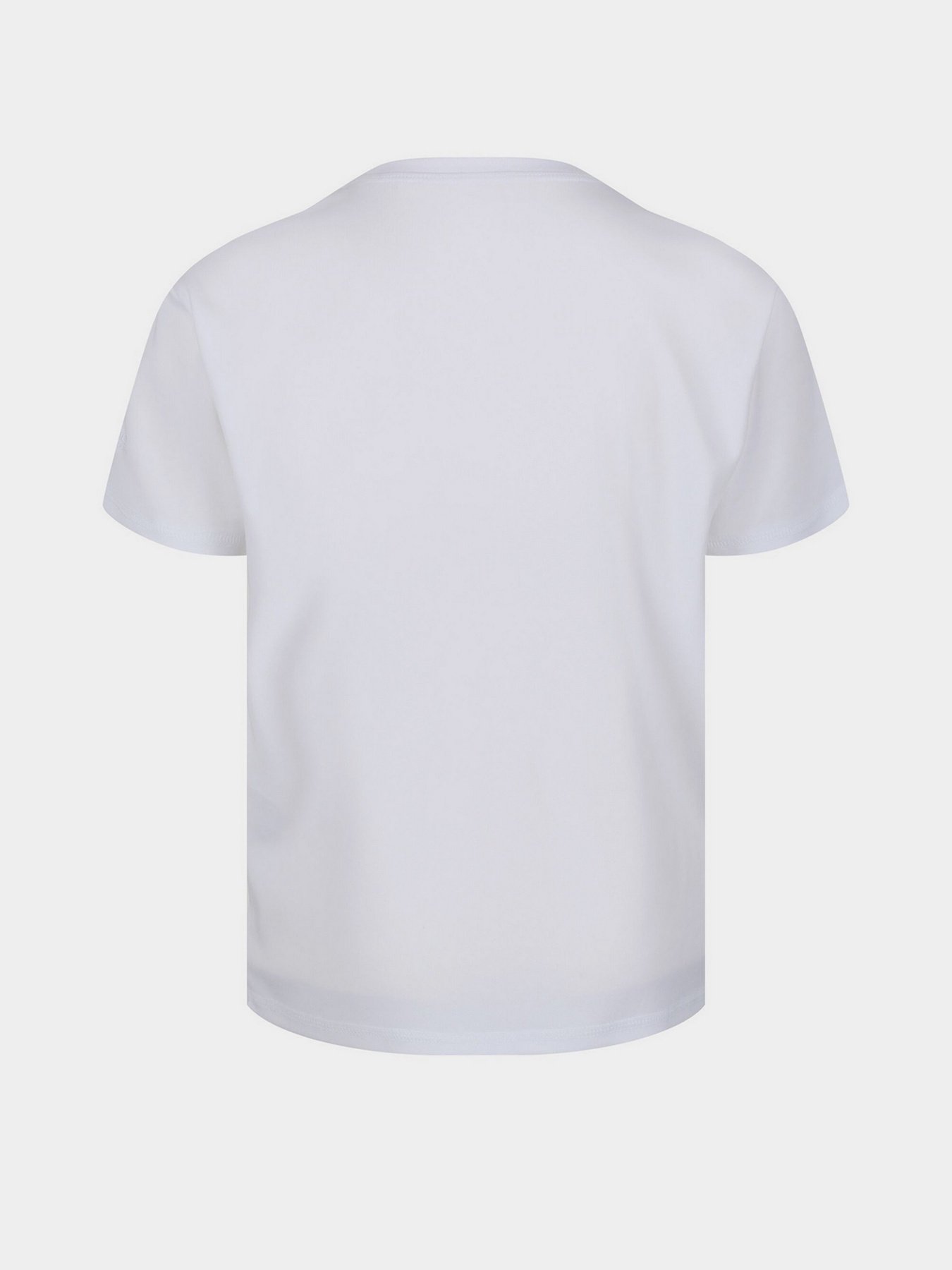 Футболки і поло Regatta Alvarado Модель RKT133-900 Фото