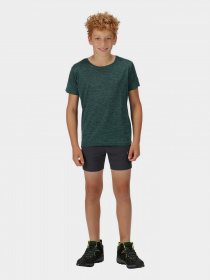 Футболки і поло Regatta Fingal Модель RKT134-F15 Фото