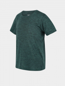 Футболки і поло Regatta Fingal модель RKT134-F15 Фото