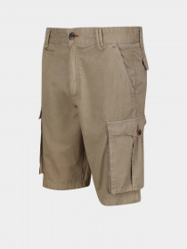 Шорти Regatta Shorebay модель RMJ221-3HE Фото