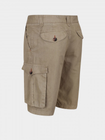 Шорти Regatta Shorebay модель RMJ221-3HE Фото