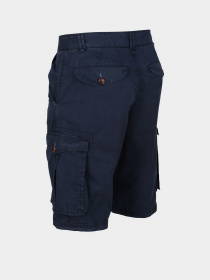 Шорти Regatta Shorebay Модель RMJ221-540 Фото