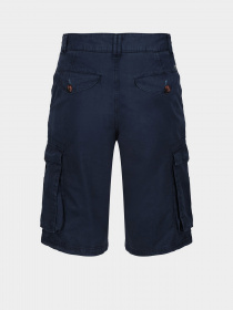 Шорти Regatta Shorebay Модель RMJ221-540 Фото