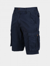 Повсякденні шорти Regatta Shorebay модель RMJ221-540 Фото