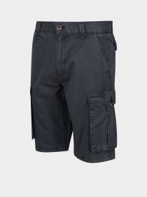 Шорти Regatta Shorebay Модель RMJ221-FY2 Фото