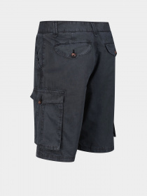 Шорти Regatta Shorebay Модель RMJ221-FY2 Фото