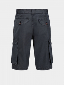 Повсякденні шорти Regatta Shorebay модель RMJ221-FY2 Фото