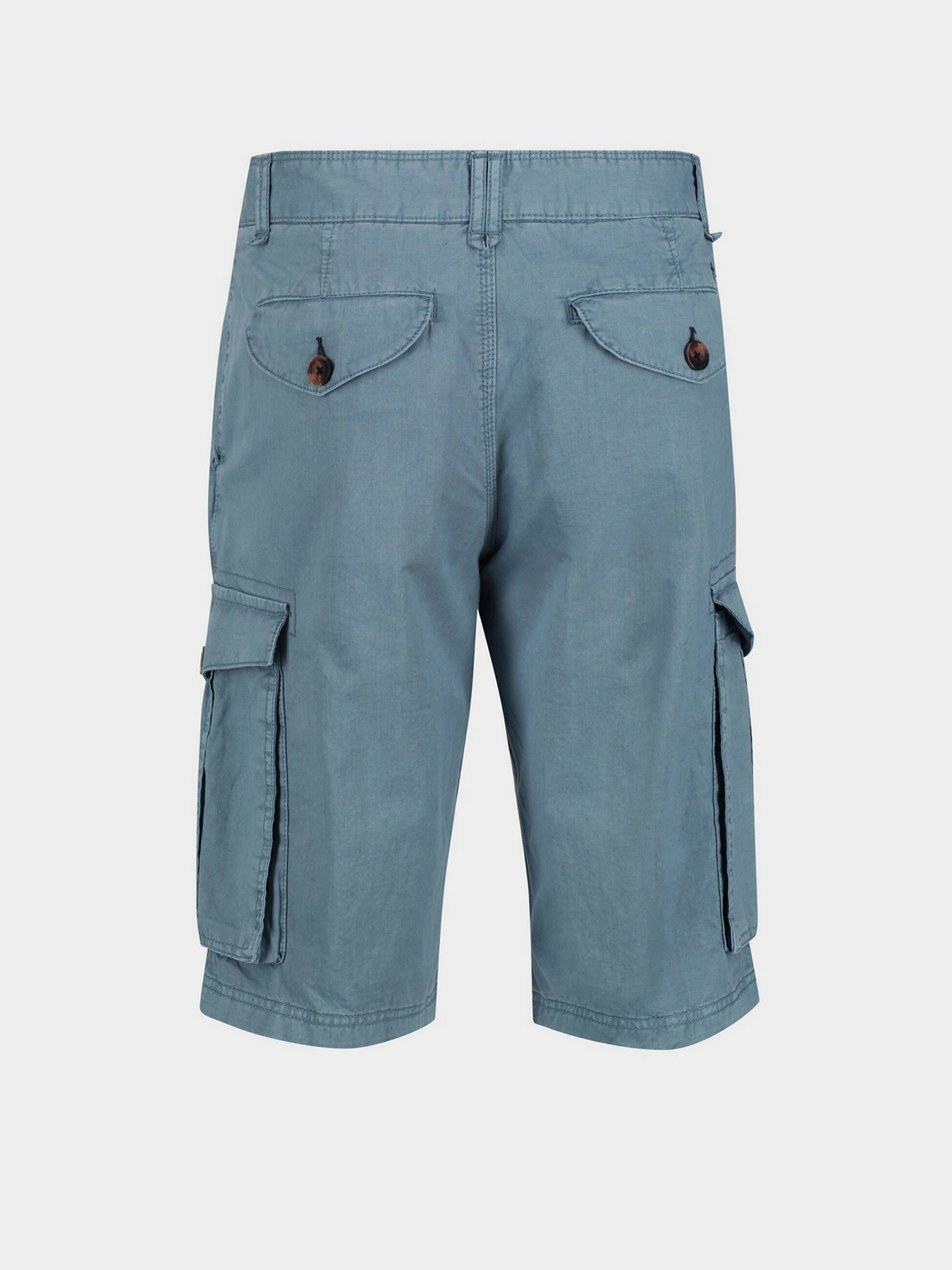 Шорти Regatta Shorebay Модель RMJ221-TDE Фото