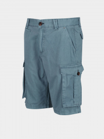 Шорти Regatta Shorebay Модель RMJ221-TDE Фото