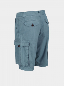 Повсякденні шорти Regatta Shorebay модель RMJ221-TDE Фото