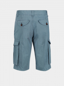 Повсякденні шорти Regatta Shorebay модель RMJ221-TDE Фото