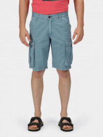 Повсякденні шорти Regatta Shorebay модель RMJ221-TDE Фото