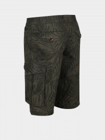 Шорти Regatta Shorebay Модель RMJ221-TKL Фото