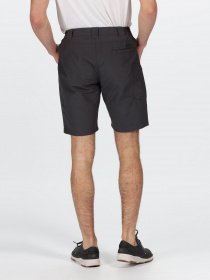 Повсякденні шорти Regatta Delgado модель RMJ228-038 Фото
