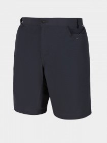 Повсякденні шорти Regatta Delgado модель RMJ228-038 Фото