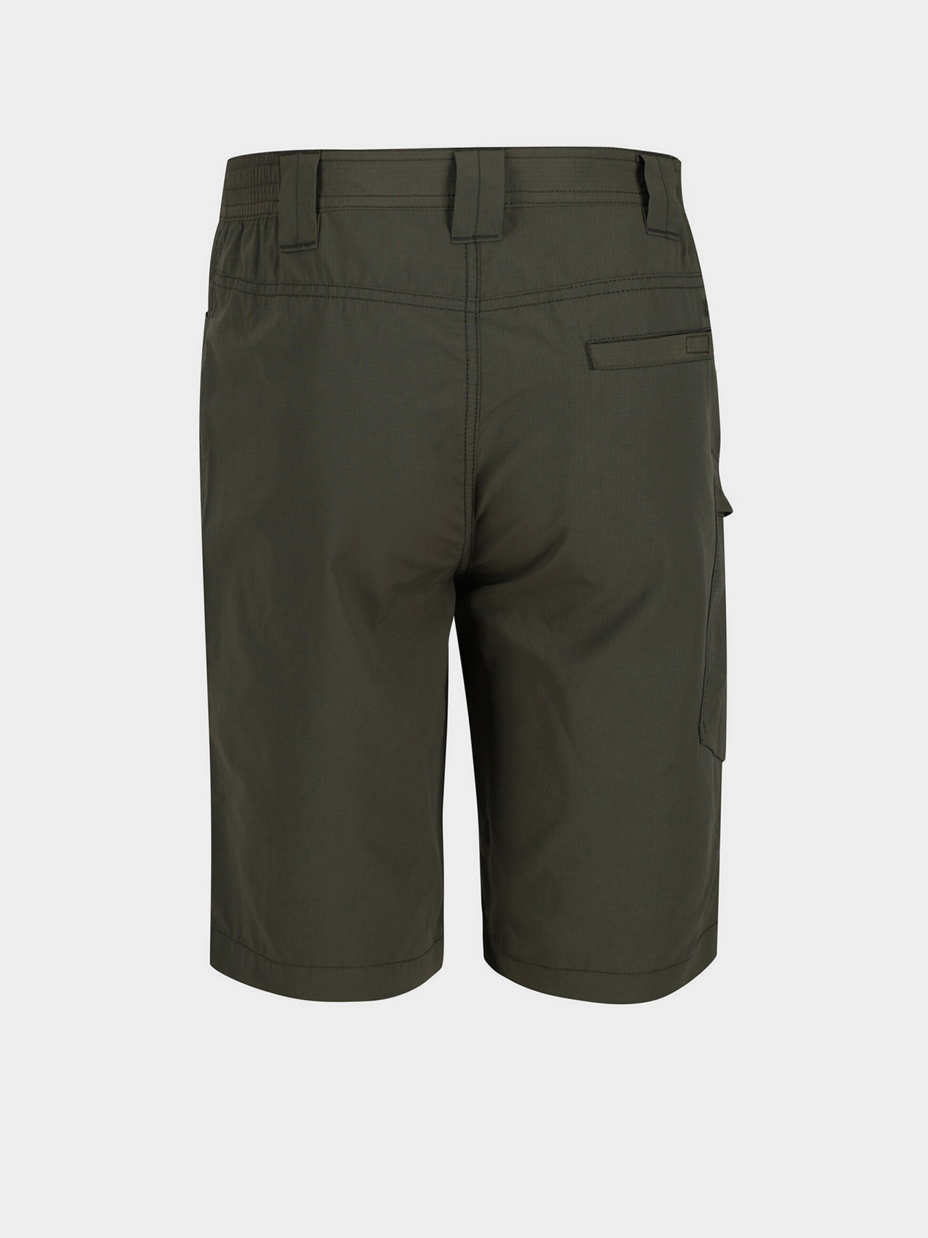 Повсякденні шорти Regatta Delgado модель RMJ228-41C Фото