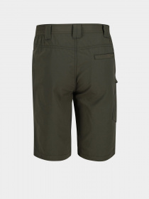 Повсякденні шорти Regatta Delgado модель RMJ228-41C Фото