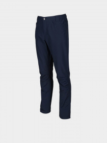 Повсякденні штани Regatta Delgado модель RMJ231R-540 Повсякденні штани Regatta Delgado модель RMJ231R-540 Фото