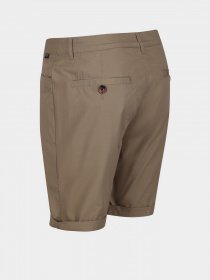 Шорти Regatta Cobain Модель RMJ252-3HE Фото