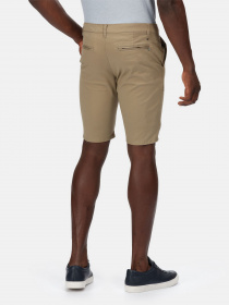 Шорти Regatta Sandros Модель RMJ263-3HE Фото