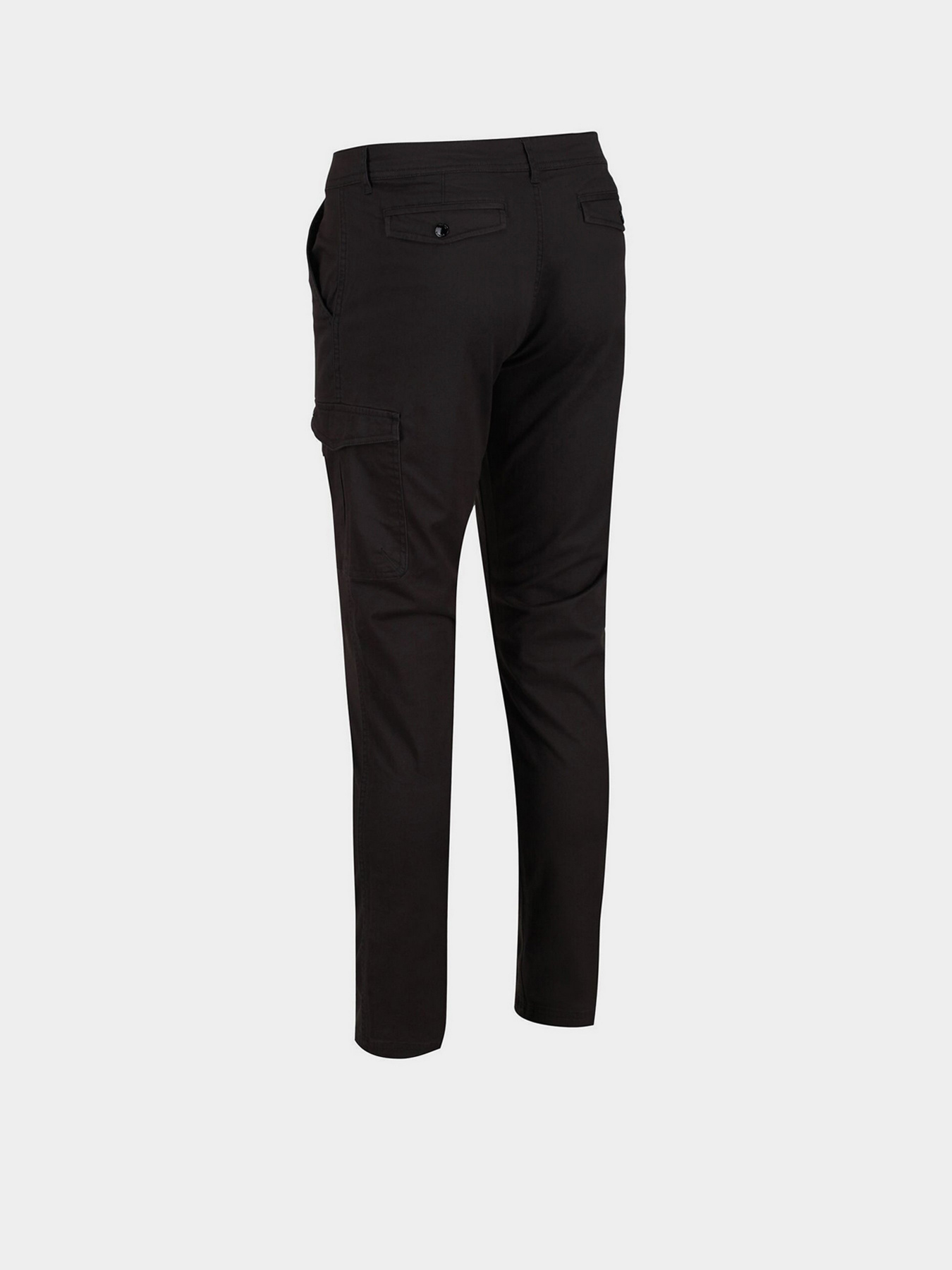 Брюки повседневные Regatta Bryer Cargo TrsII модель RMJ273R-61I Фото