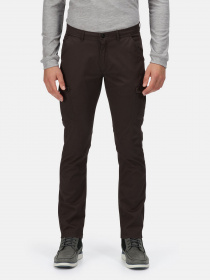 Брюки повседневные Regatta Bryer Cargo TrsII модель RMJ273R-61I Фото