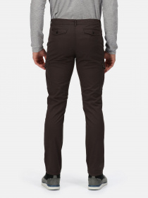 Повсякденні штани Regatta Bryer Cargo TrsII модель RMJ273R-61I Фото