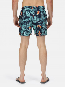 Шорты для плавания Regatta Loras модель RMM014-VDR Фото