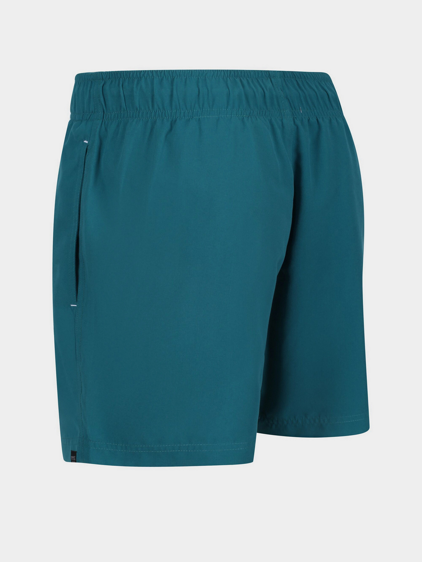 Шорти для плавання Regatta Mawson модель RMM016-F15 Фото