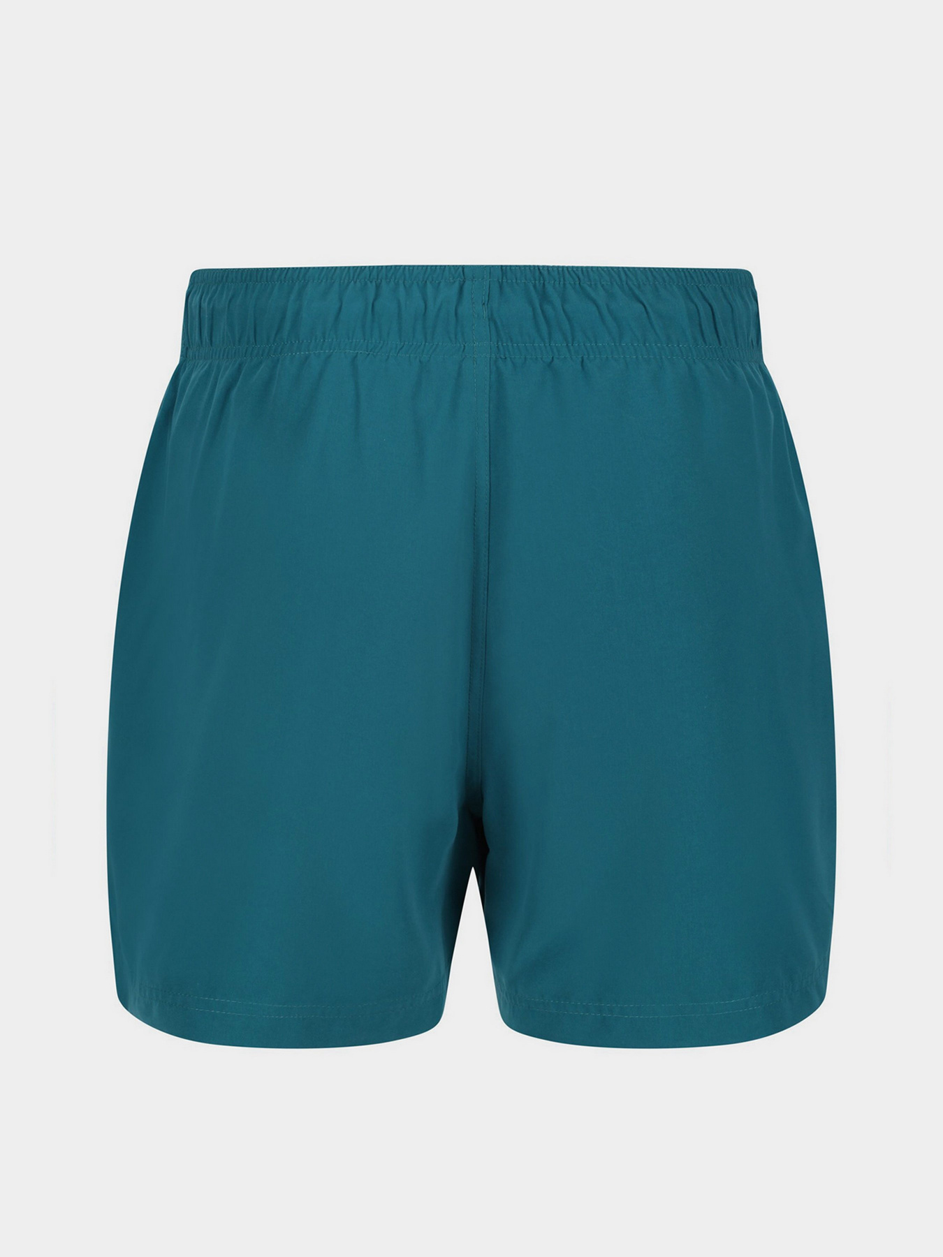 Шорти для плавання Regatta Mawson модель RMM016-F15 Фото