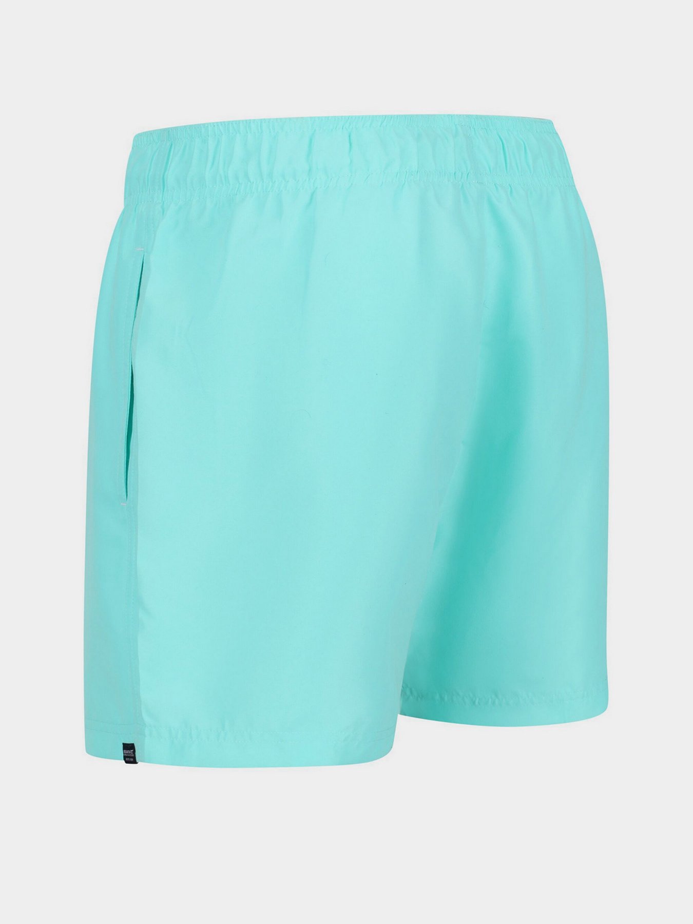 Шорты для плавания Regatta Mawson модель RMM016-GIF Фото