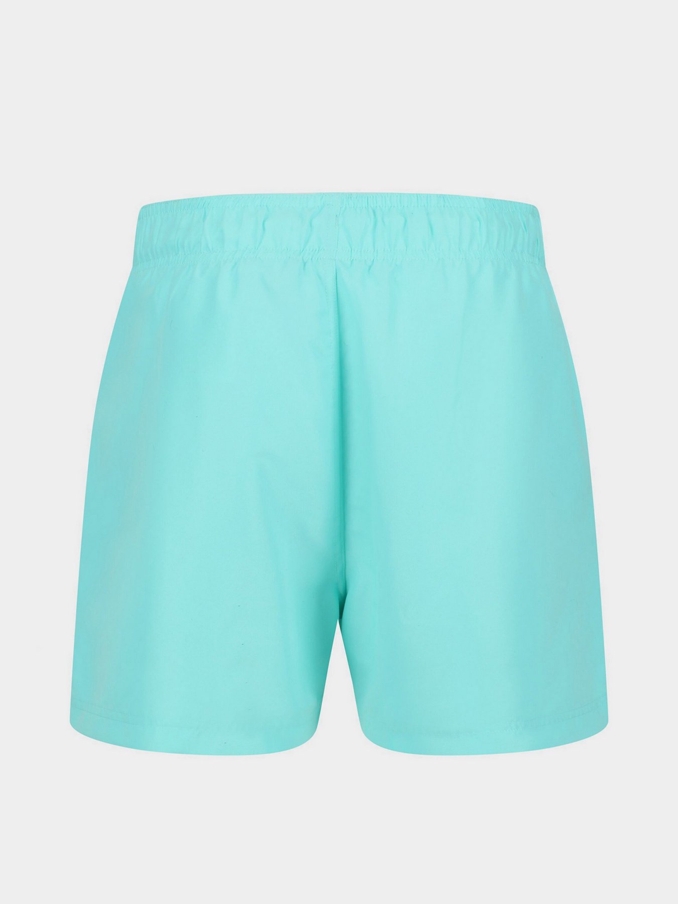 Шорты для плавания Regatta Mawson модель RMM016-GIF Фото