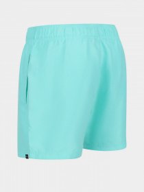 Шорты для плавания Regatta Mawson модель RMM016-GIF Фото