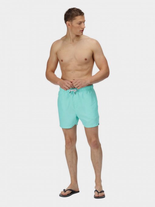 Шорты для плавания Regatta Mawson модель RMM016-GIF Фото