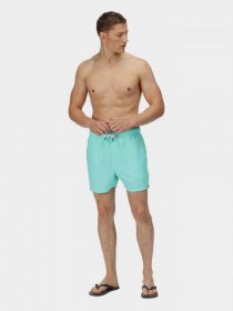 Шорти для плавання Regatta Mawson модель RMM016-GIF Фото