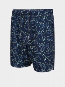Шорты для плавания Regatta Hamza Swim модель RMM023-M0W Фото