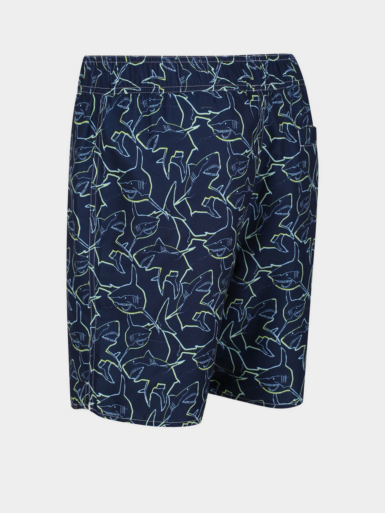 Шорти для плавання Regatta Hamza Swim модель RMM023-M0W Фото