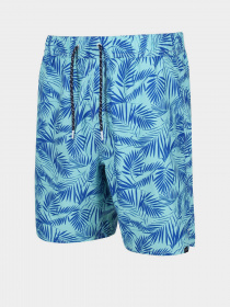Шорты для плавания Regatta Hamza Swim модель RMM023-P7P Фото