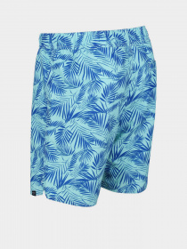 Шорти для плавання Regatta Hamza Swim модель RMM023-P7P Фото