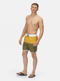 Шорти для плавання Regatta Benicio модель RMM024-L5B Фото