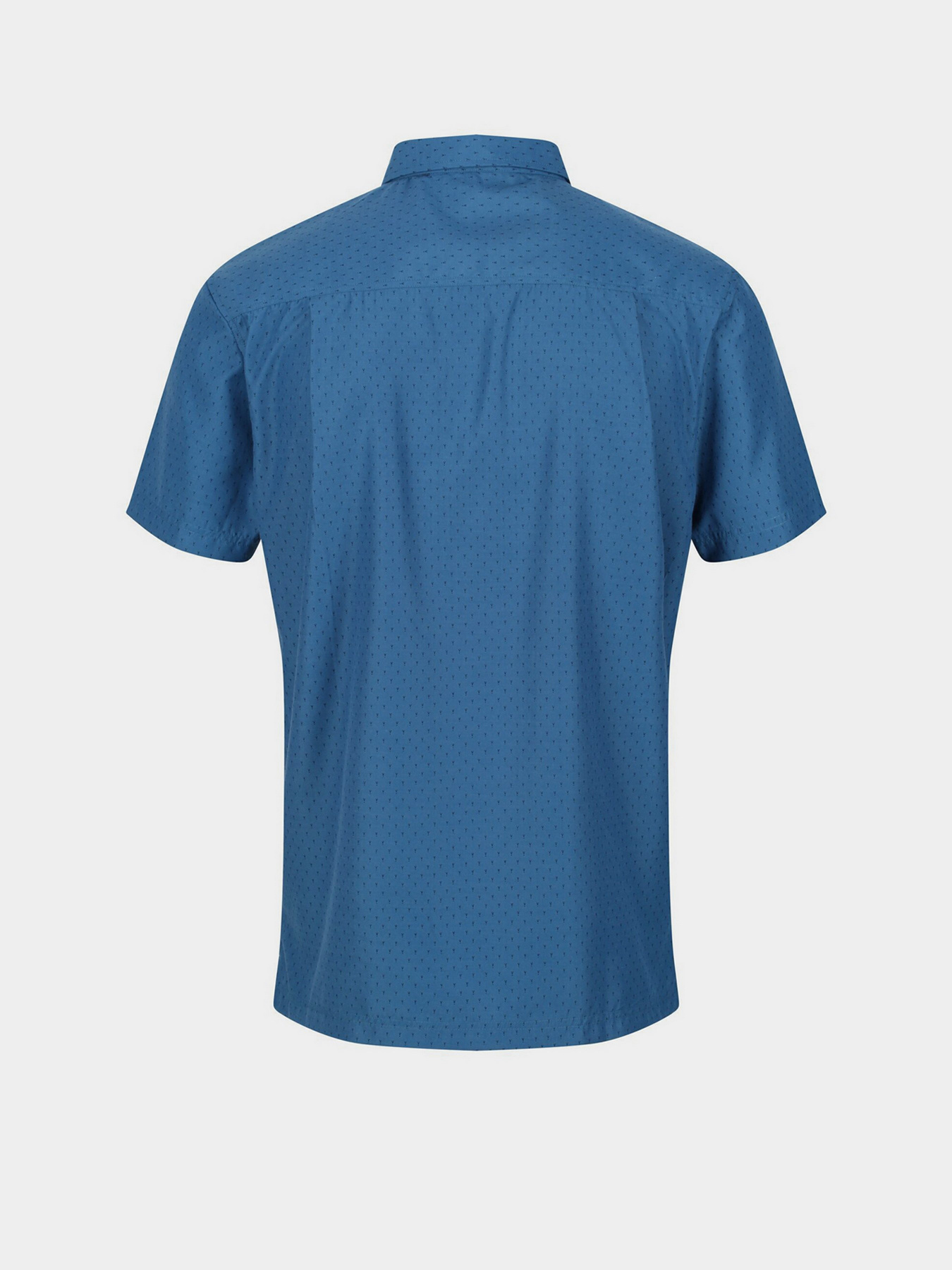 Сорочка повсякденна Regatta Mindano VI модель RMS163-R7U Фото