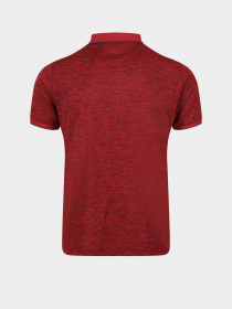 Поло Regatta Remex II модель RMT186-657 Фото