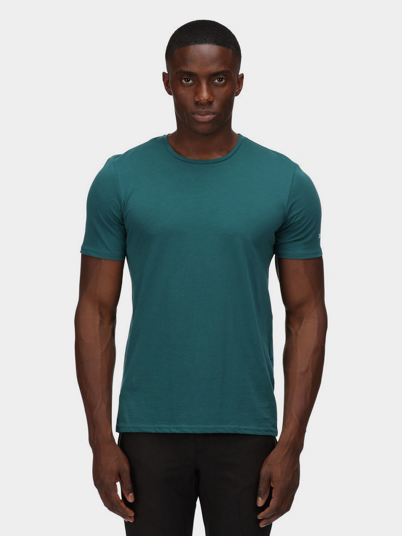 Футболки и поло Regatta Tait модель RMT218-F15 Фото